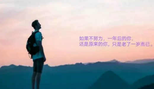 【秦安神仙岭上的牡丹种植人：信念支撑我的人生路】图2
