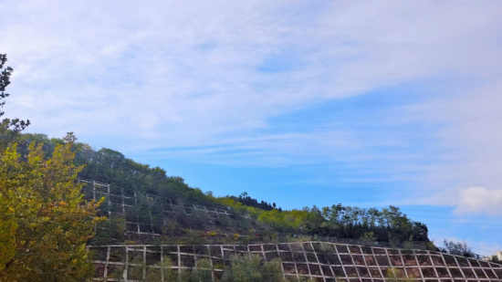 【江涵秋影雁初飞，与客携壶上翠微】图3