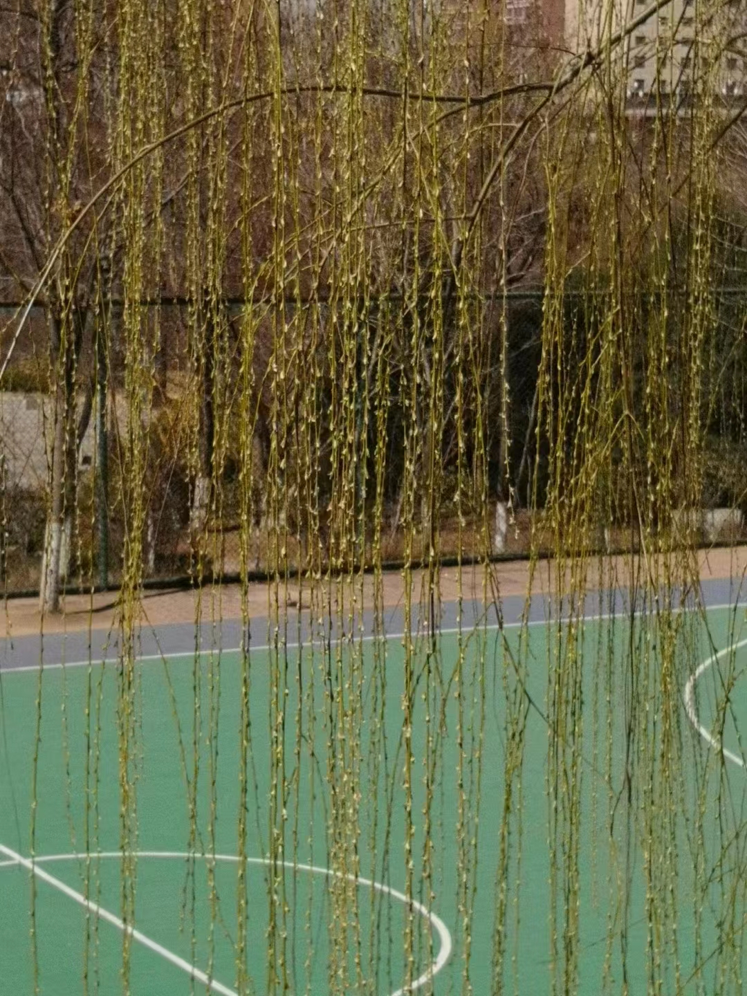 五绝.春风