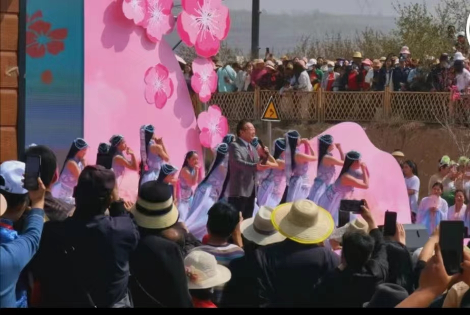 七绝.秦安桃花会