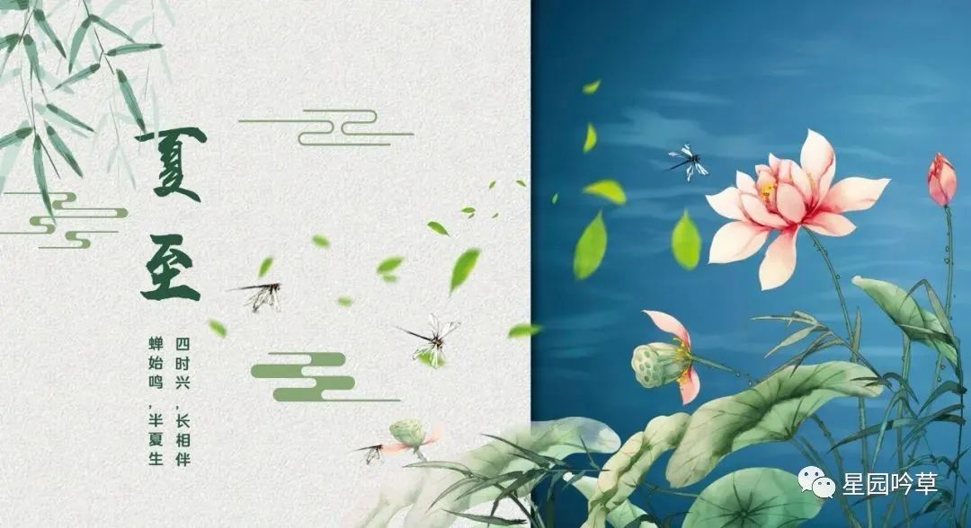 【骄阳渐近暑徘徊，一夜生阴夏九来】图1