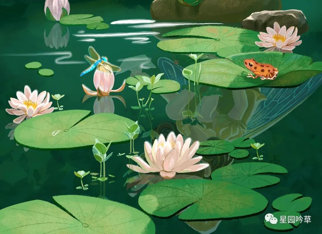 【骄阳渐近暑徘徊，一夜生阴夏九来】图4