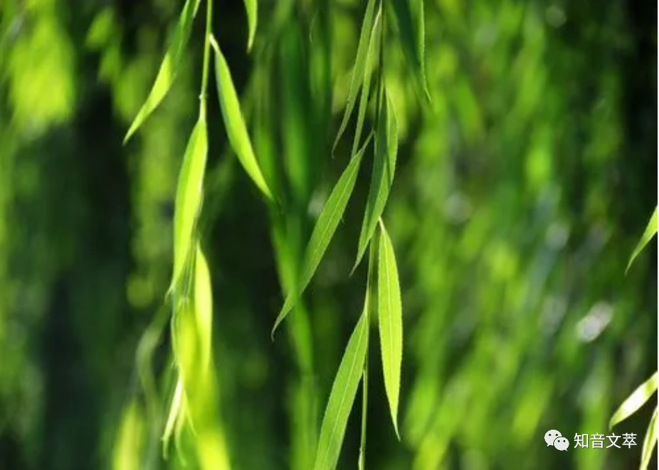 【难忘，那童年的端午节】图2