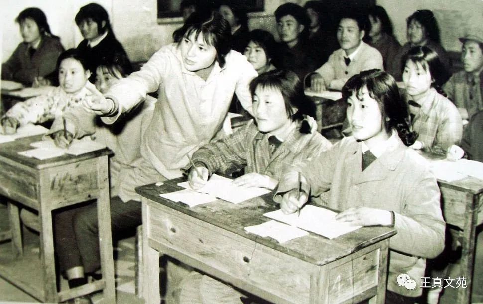【难忘的小学生活（下）】图2