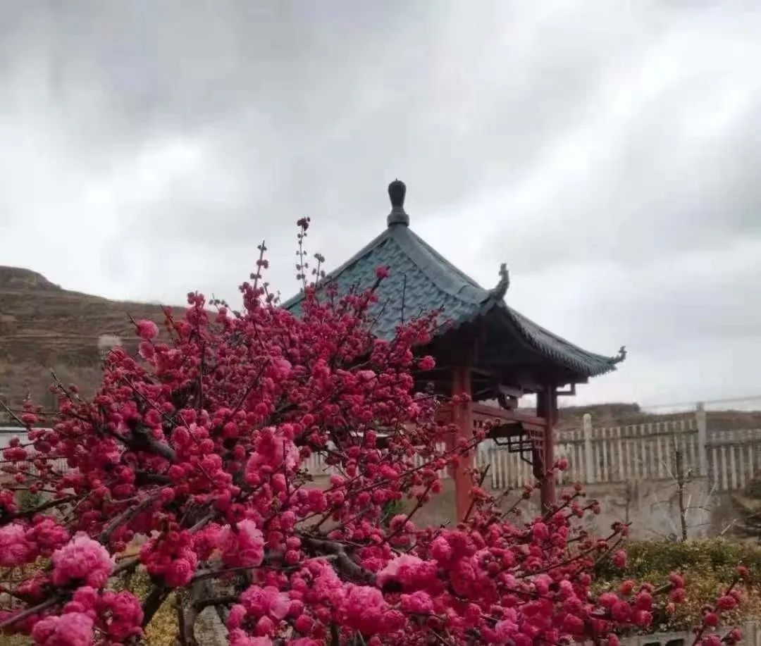 常小康/西番寺赋