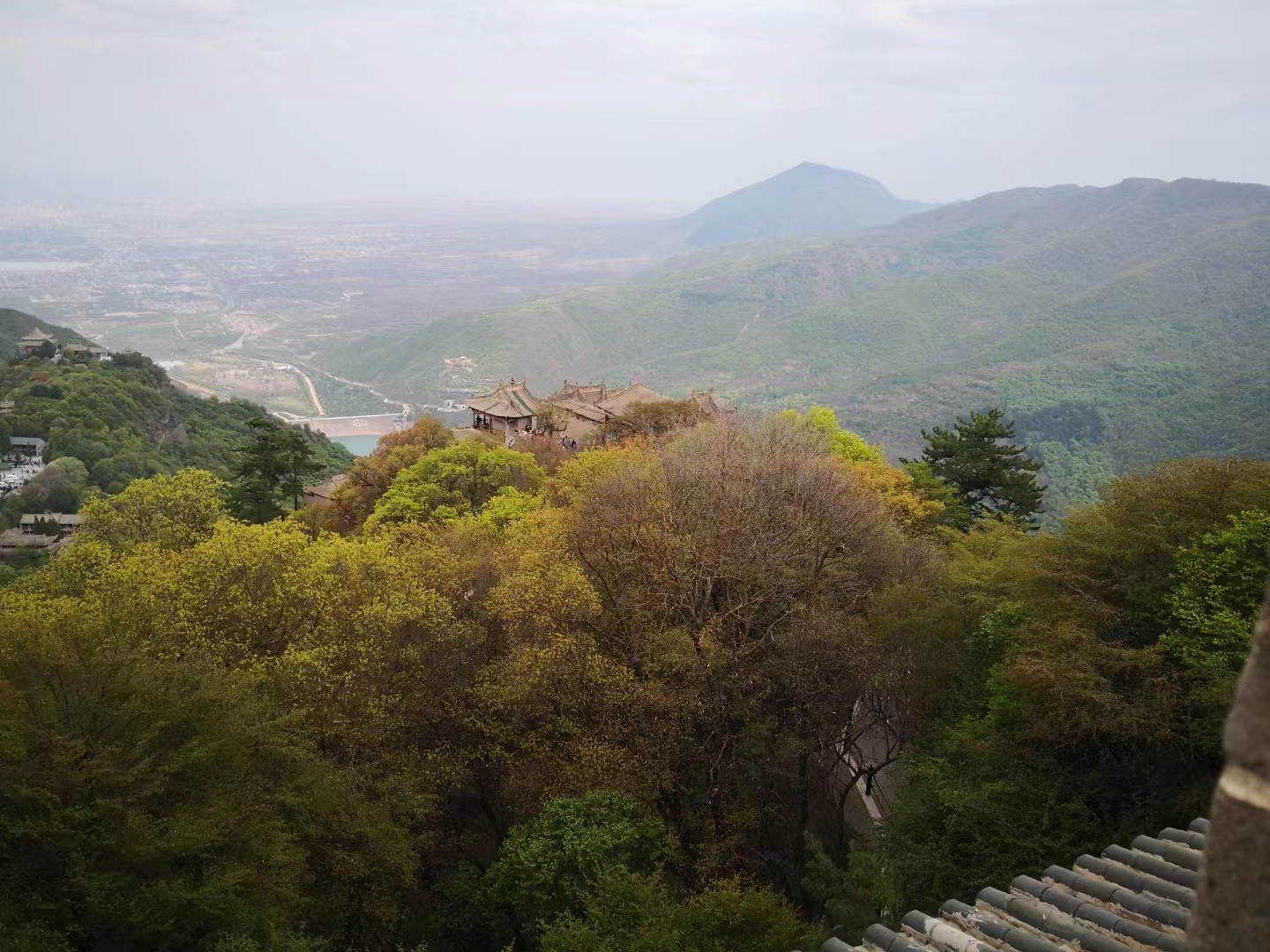 南歌子.盛夏还乡