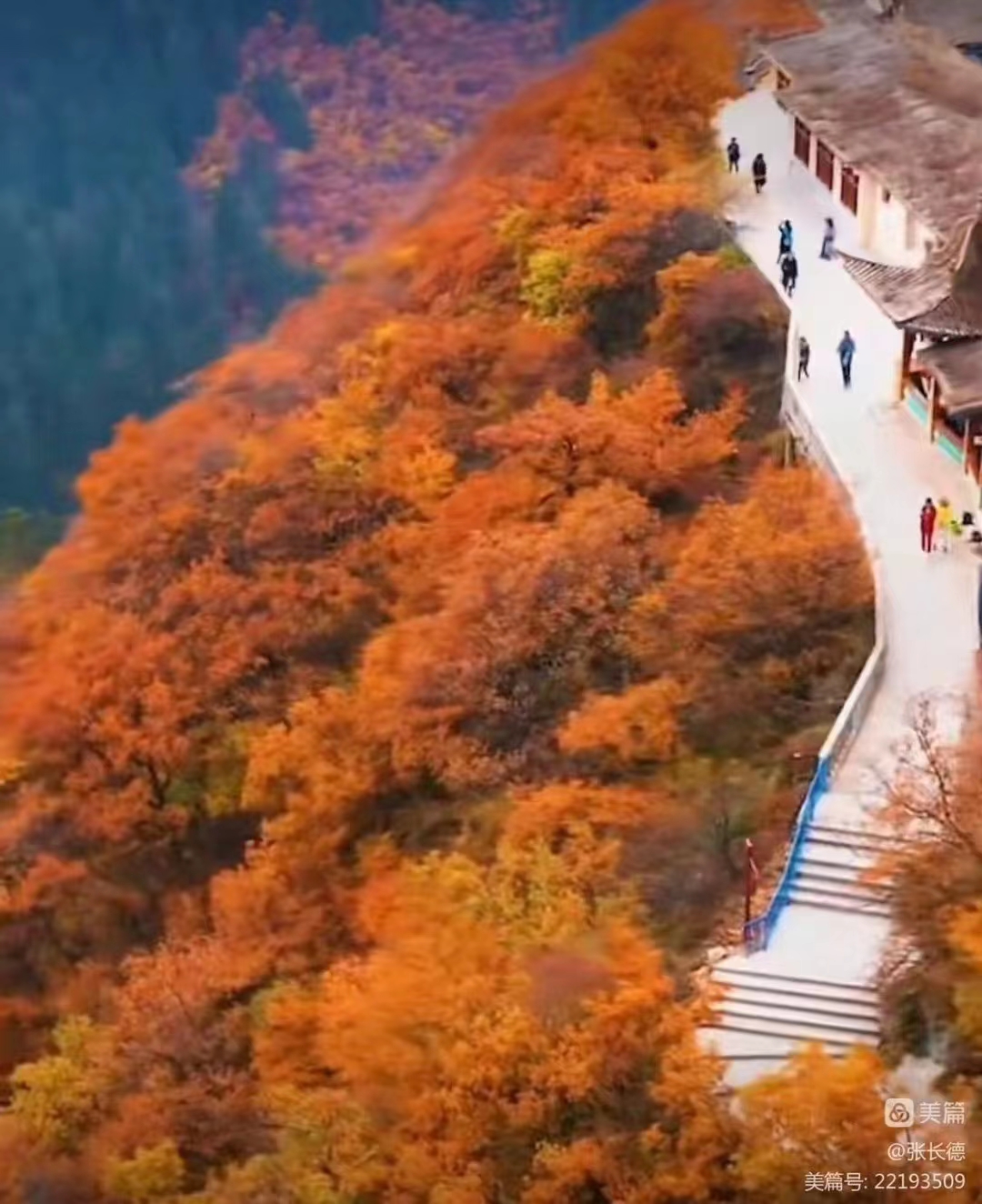 霜天晓角.自天水过关山向南国