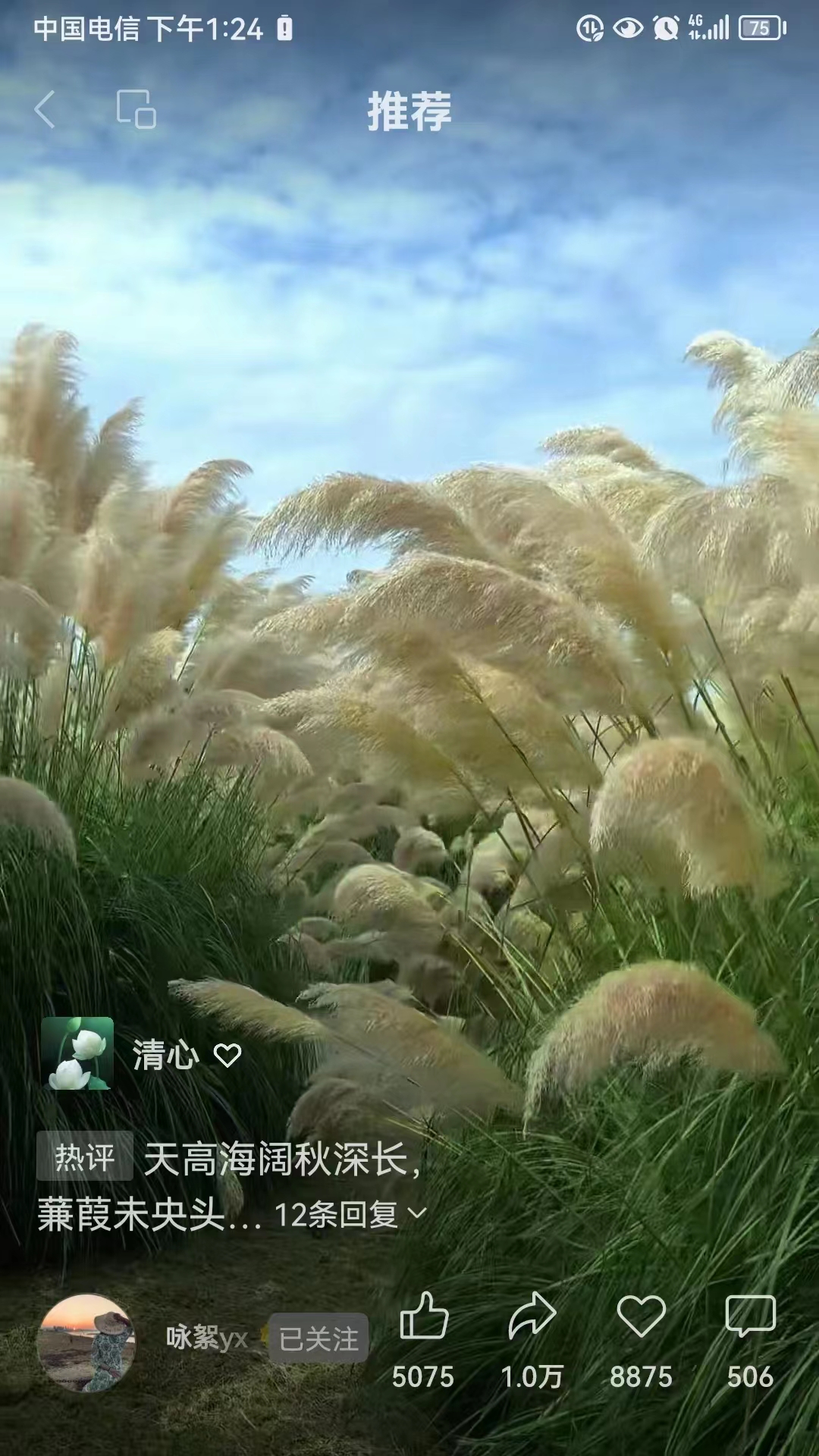 七绝.自叹