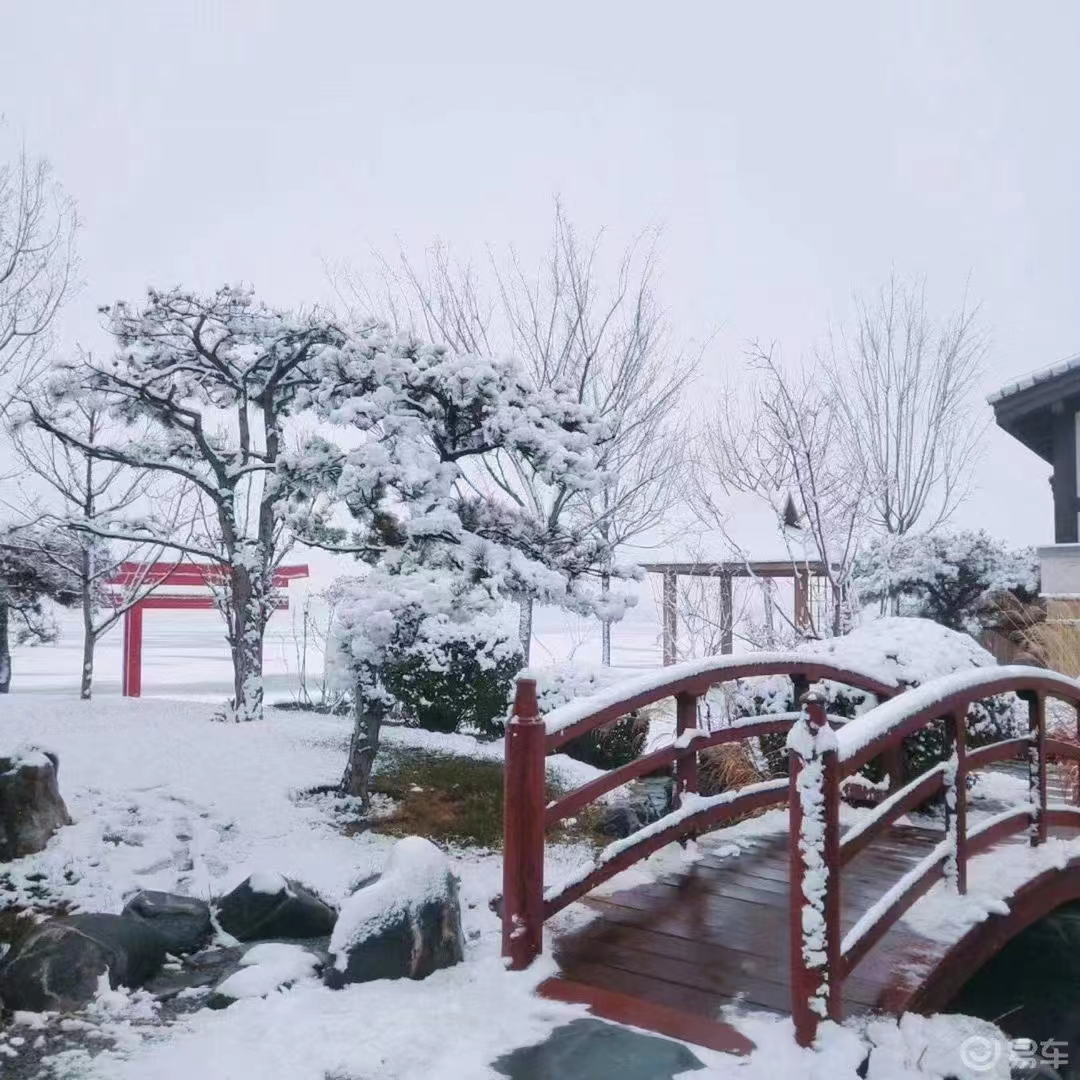 张彩萍/对雪