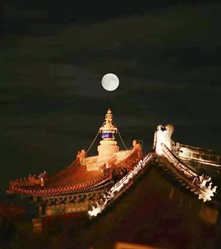 张彩萍/中秋思亲