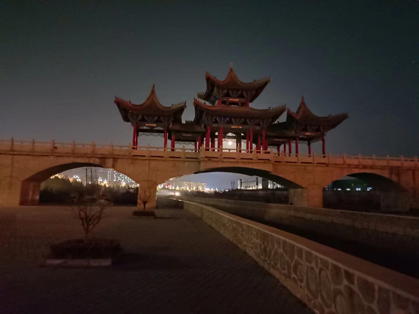 南国栋/金子