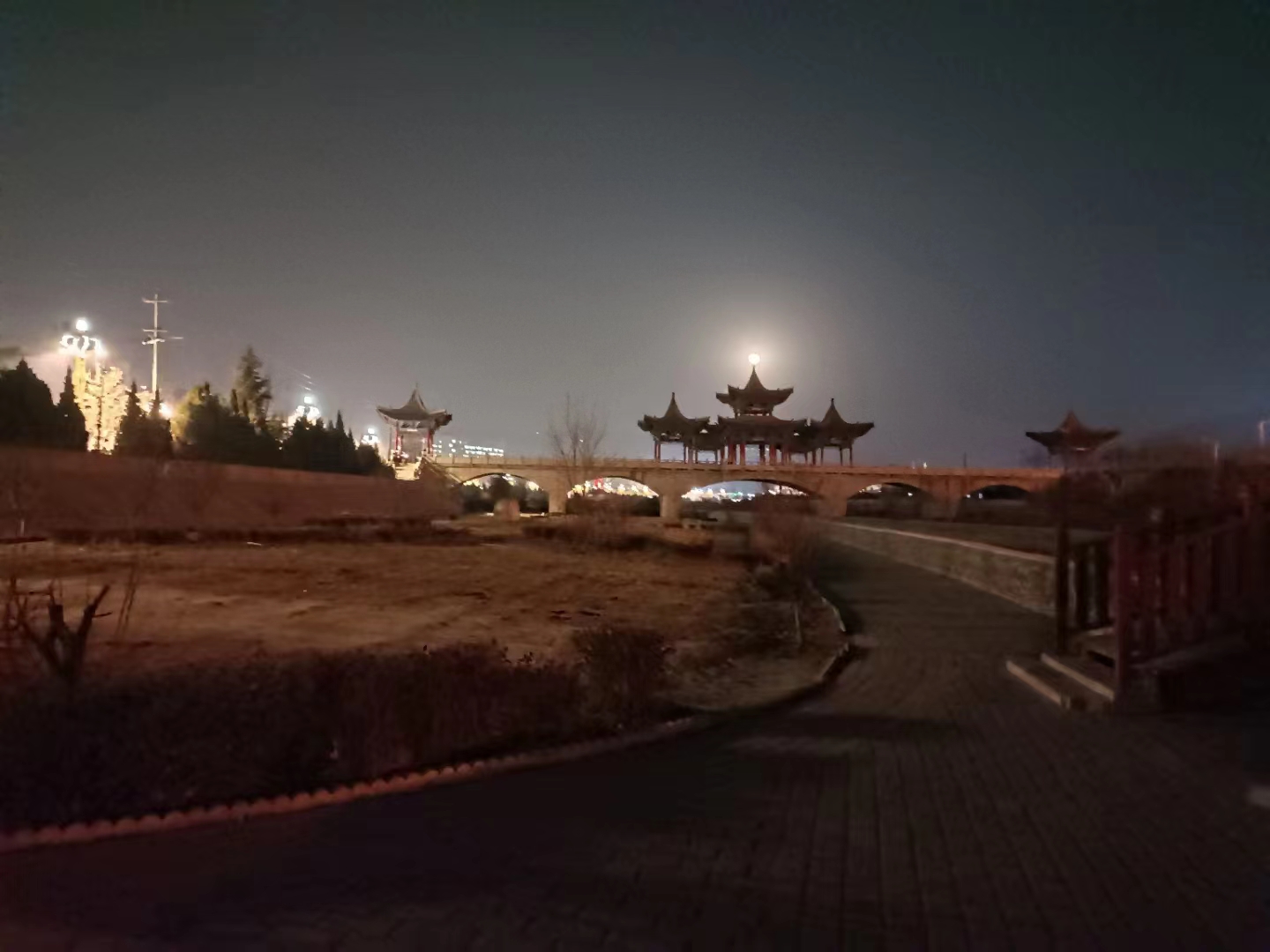 南国栋/月下思