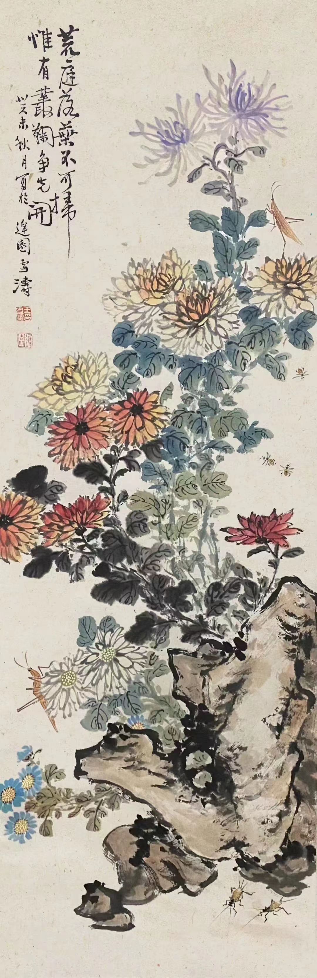 七绝 菊