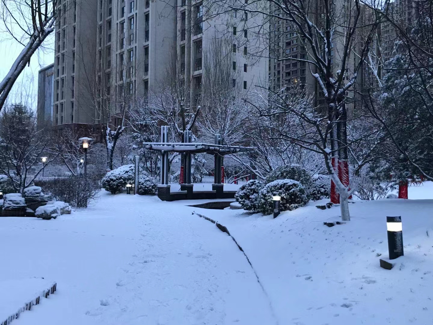 艾叶|望雪