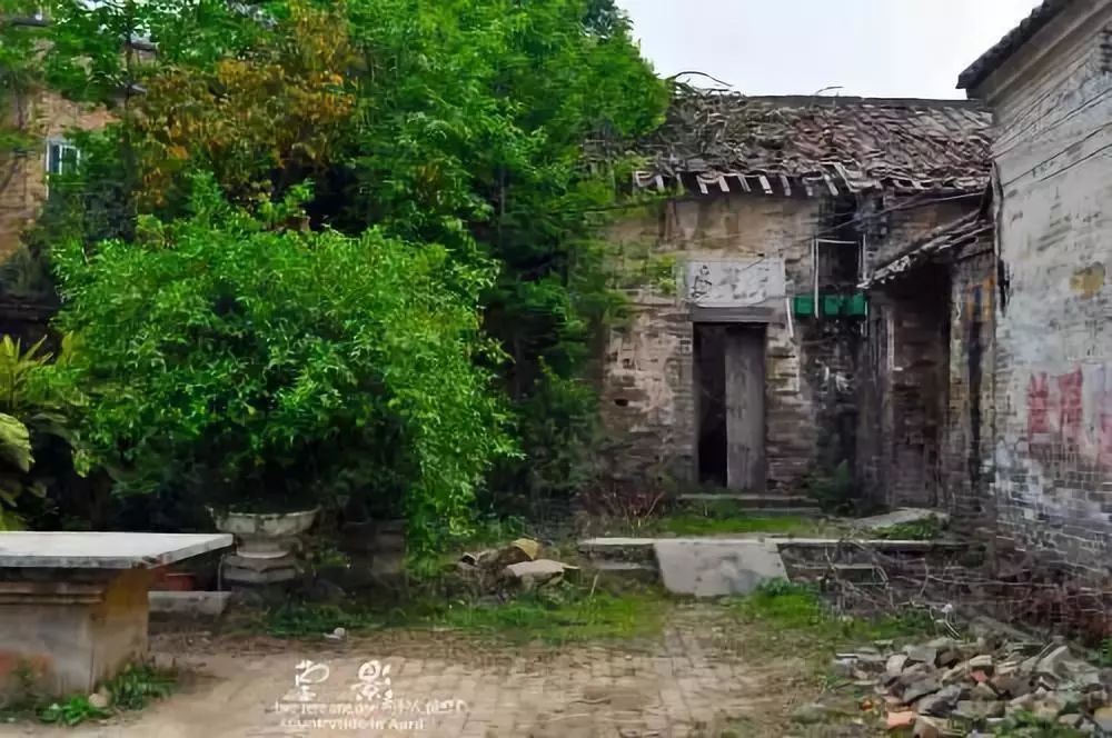 郭明祥/血色蝴蝶（三）
