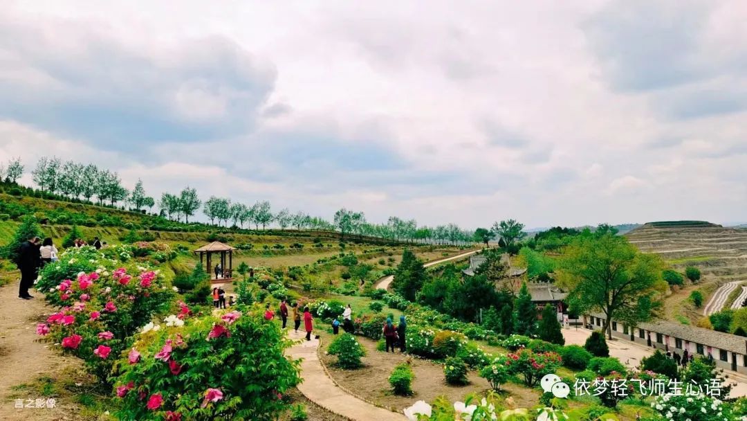 【孟东花/清风何辞仙岭远？与君揽住富贵春   ——与师友们同赴王铺梁赏牡丹侧记】图3