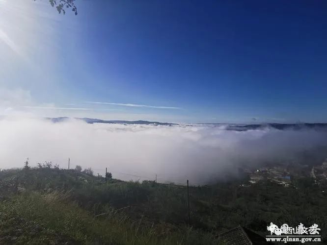徐翔/在云雾山脚下