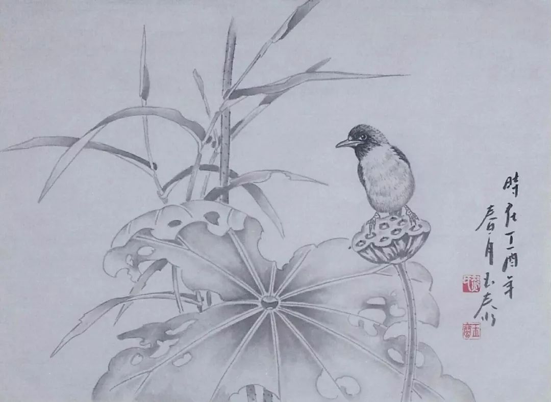 图片