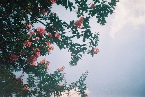 我抠门，是因为我穷过 。
