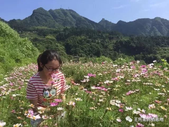 大学生，到底该不该做兼职 ？