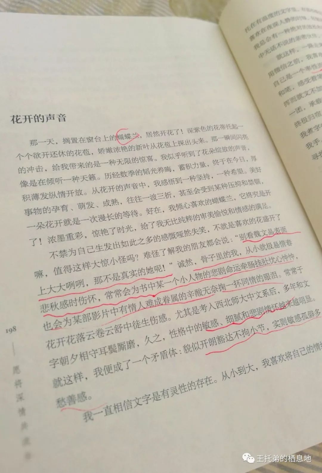 【秦安女子 魏文晶 散文集《愿将深情共流年》出版发行】图4