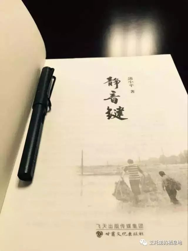 甘肃通渭女作家蒲小平《静音健》一书：一个母亲的呐喊