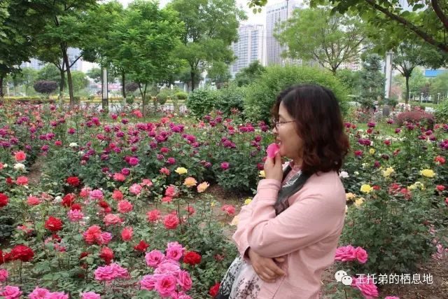 【王丽/儿子高考：期待通知书尽快飞来！】图4