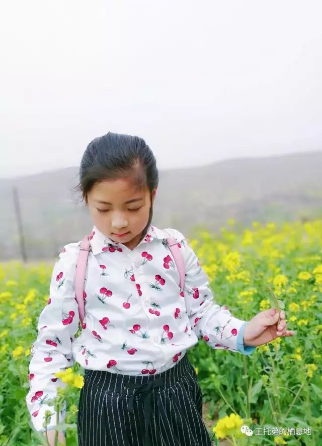 【王托弟/亲爱的涵涵】图2