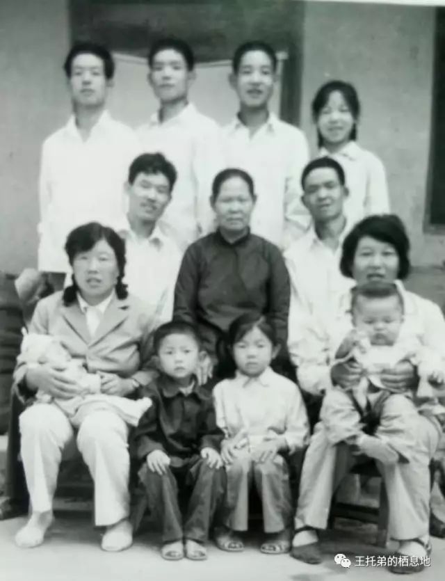 王慧/我的奶奶