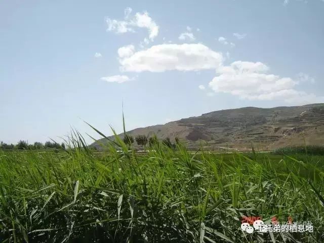 【岭上人/陇城者，陇上之名镇也】图2