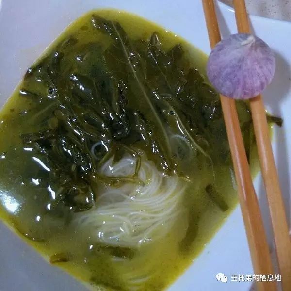 【陈永强/怀念 母亲窝的苦苣浆水】图4