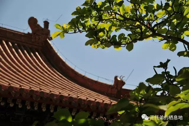 【马丽珠/史铁生的地坛：文字过处，满心怜惜】图3