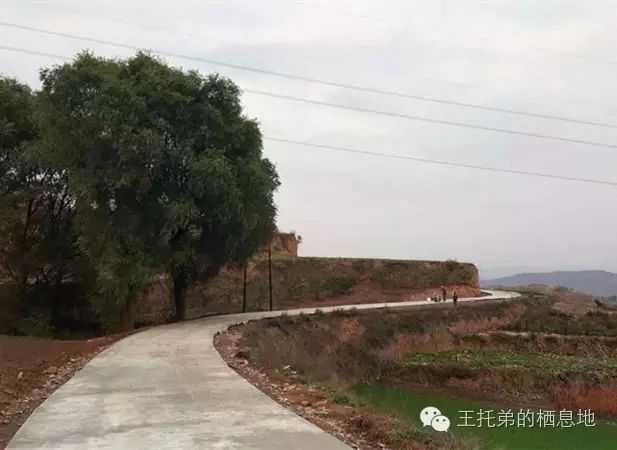 【岭上人/新修大道 畅通行】图1