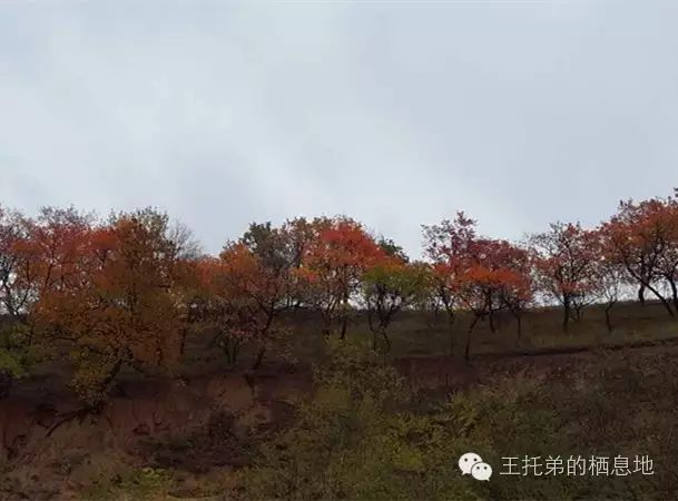 【岭上人/新修大道 畅通行】图2