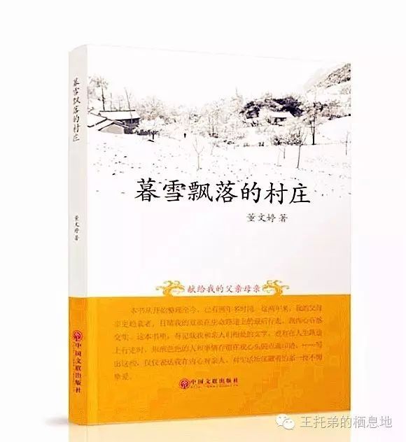 王托弟/喜忧参半的过往——读秦安作家董文婷《暮雪飘落的村庄》