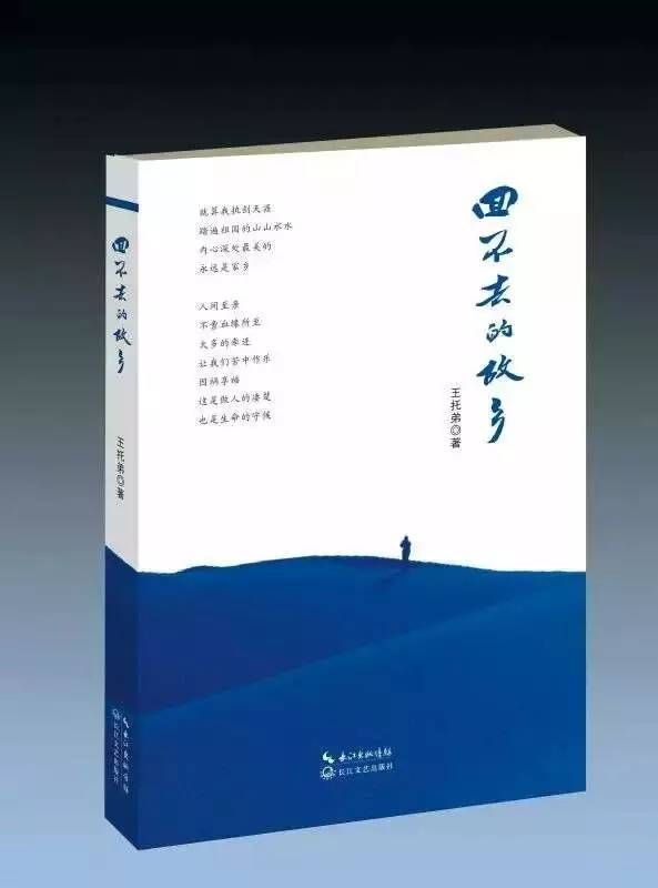 【王托弟/无论能否回去，家乡，永远都在我们心中】图1