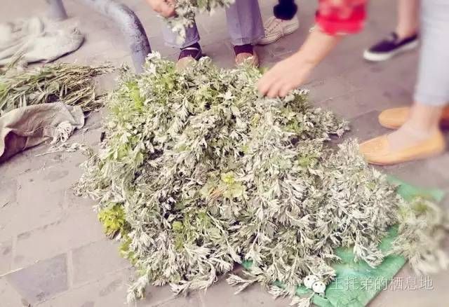 【杨亚妹/五月五，去秦安陇城过个别样的端午节吧】图2