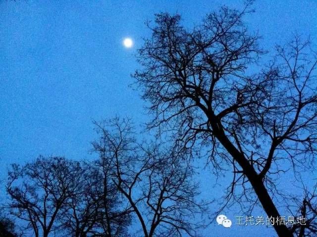 【杨亚妹/母亲节，一篇小文献给母亲，愿天下所有的母亲老有所养，福寿安康！】图4
