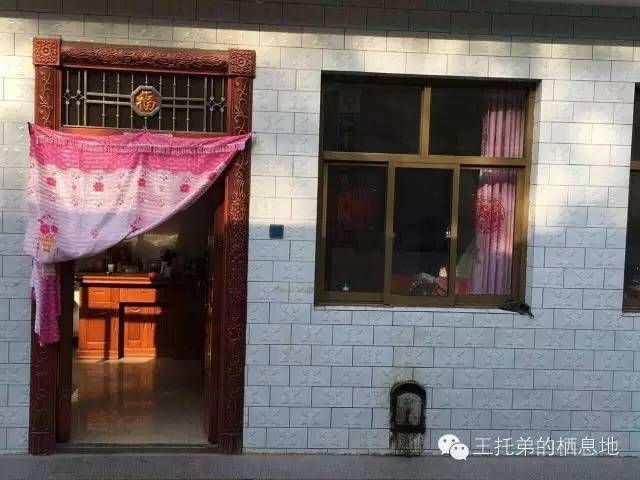 【王托弟/妈妈，请别再想我】图1