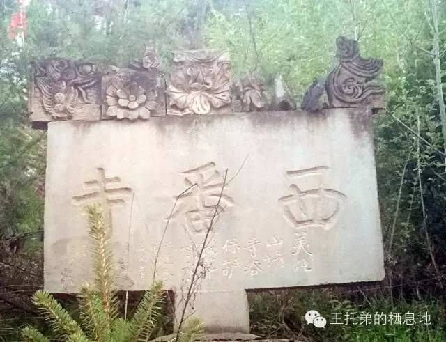 【杨亚妹/三月十九，去陇城赴一场春天的盛会】图1