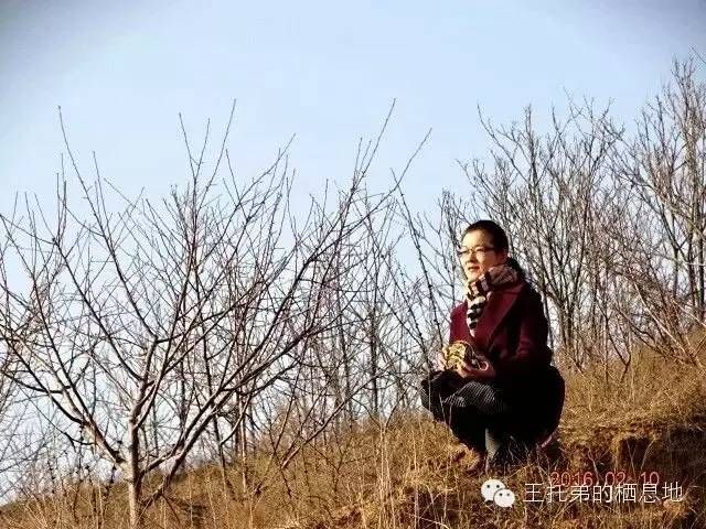 王托弟/又闻《梦中的婚礼》