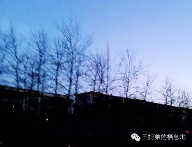 【王托弟/灯火】图2