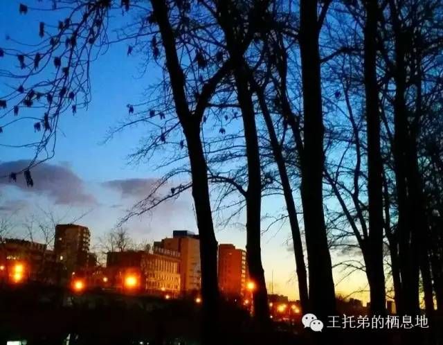 【王托弟/灯火】图4
