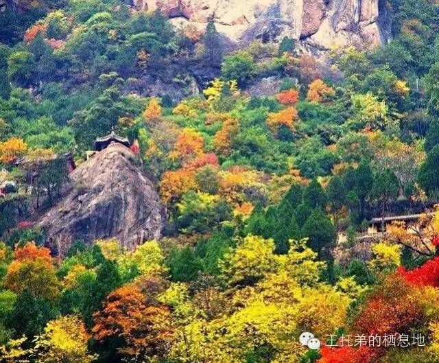 【王托弟/ 一别经年，各自安好】图2