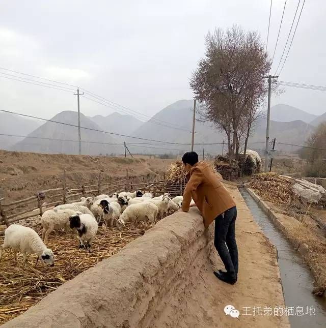 【郭彦龙/ 靖远，一座黄河水在家门口的城市】图4