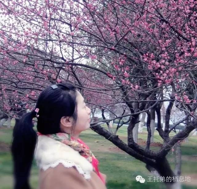 【王托弟/爱情，是建立在烟火之上的动态平衡】图4