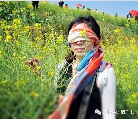【黄丹/ 把酒换流年，红影伴檀烟】图4