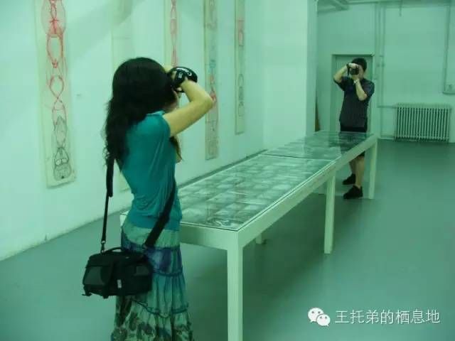秦川/ 对一只蜻蜓命运的思考