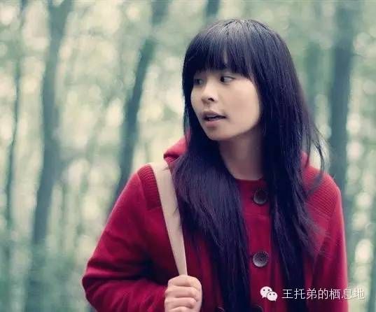 王托弟/梦境还是梦想