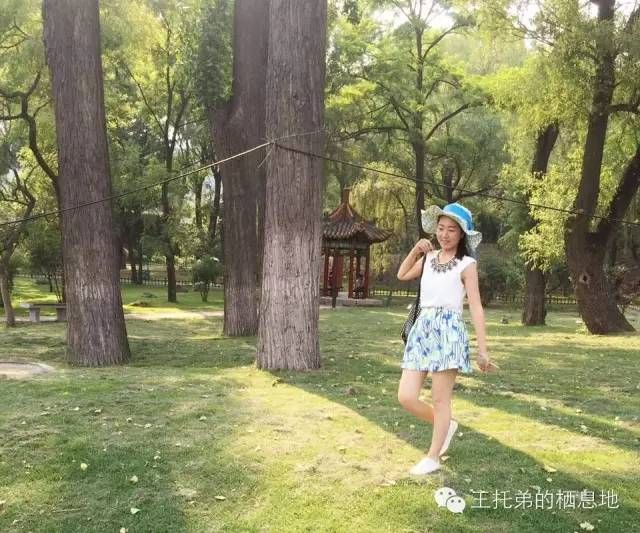 李娟娟/无言的凝眸